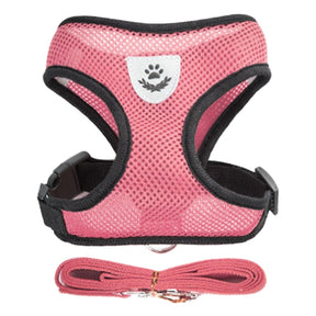 Strut in Style: Adjustable Cat Harness & Vest Set with Breathable Mesh – Purr-fect Walks for Your Fashionable Feline! 🐾🌈