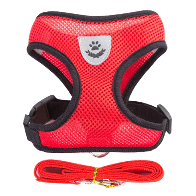 Strut in Style: Adjustable Cat Harness & Vest Set with Breathable Mesh – Purr-fect Walks for Your Fashionable Feline! 🐾🌈