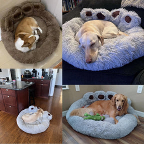 Pet Dog Sofa Beds – Warm, Washable, and Plush Comfort for Dogs Big and Small! 🛋️🐾