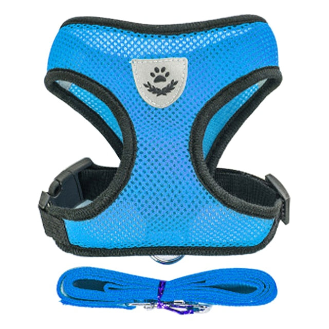 Strut in Style: Adjustable Cat Harness & Vest Set with Breathable Mesh – Purr-fect Walks for Your Fashionable Feline! 🐾🌈