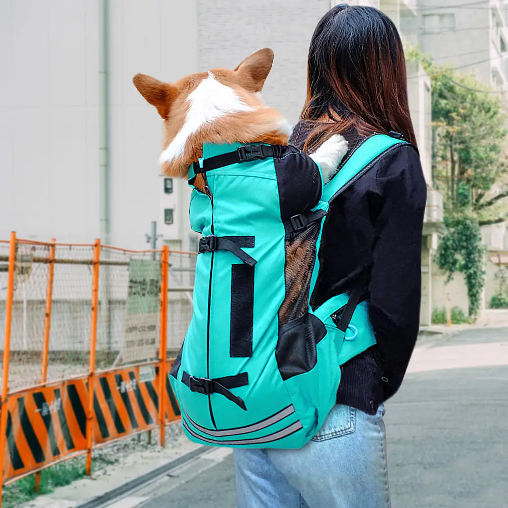 Reflective Breathable Pet Backpack: Safe & Comfy Travel Gear 🐾🎒✨